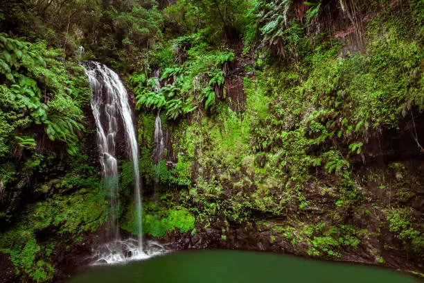 Photo of The sacred falls