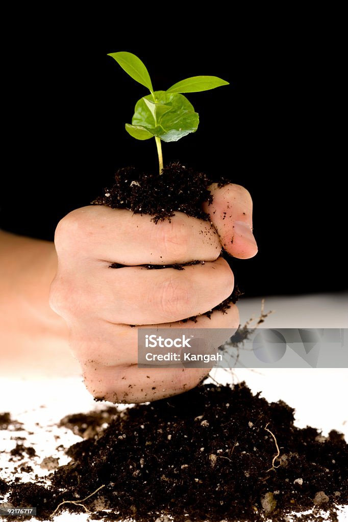 Comienzo de la vida - Foto de stock de Agarrar libre de derechos