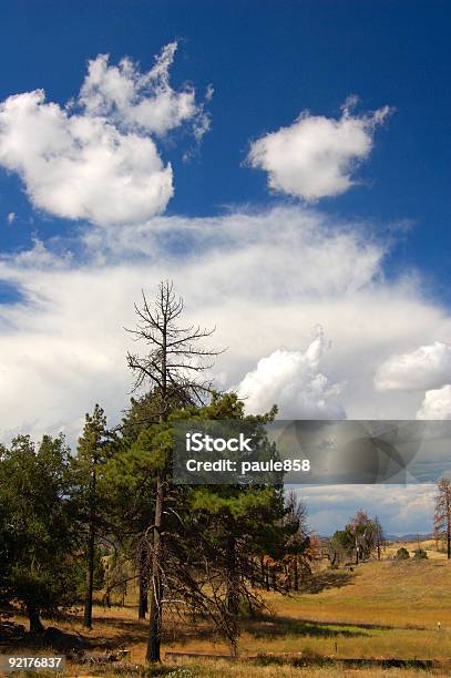 Meadow Mountain Stockfoto und mehr Bilder von Alm - Alm, Anhöhe, Ausgedörrt