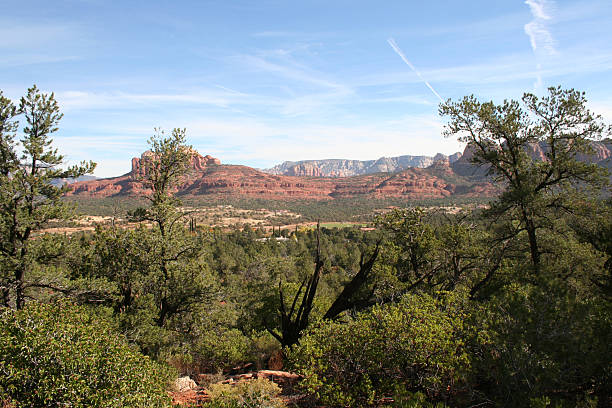 Arizona Dessert Landscape stock photo