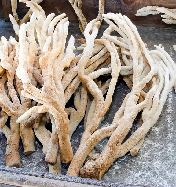 Finger sea sponges for sale on the docks.