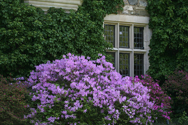 english manor garden stock photo
