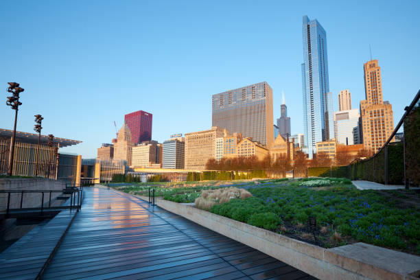 The Lurie Garden at Millennium Park in Chicago Chicago, Illinois, United States - May 06, 2011: The Lurie Garden at Millennium Park and Michigan Avenue Skyline. lurie stock pictures, royalty-free photos & images