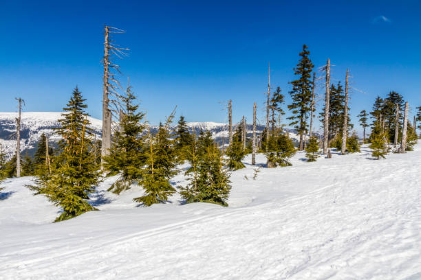 istock Krkonose (Giant Mountains) In Winter - Czechia 921777058