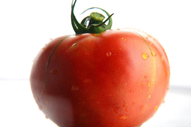 tomate - fruitfruits photos et images de collection