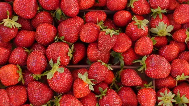 display of strawberries on a market