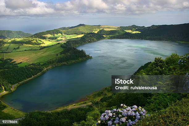 Lago Foto de stock y más banco de imágenes de Agua - Agua, Aire libre, Arriba de