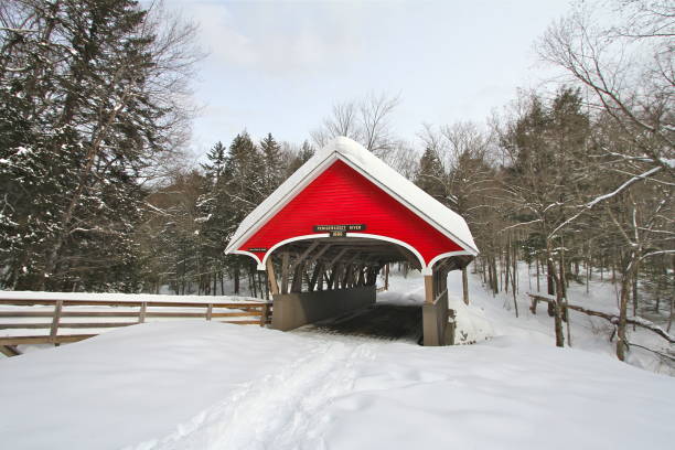 istock Red covered bridge in a snowy mountain landscape 921788940