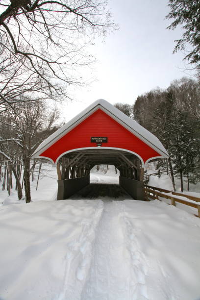 istock Red covered bridge in a snowy mountain landscape 921788952