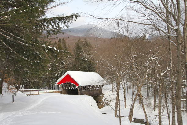 istock Red covered bridge in a snowy mountain landscape 921788994
