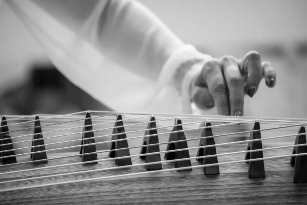 guzheng ( guzheng ) - plucking an instrument zdjęcia i obrazy z banku zdjęć