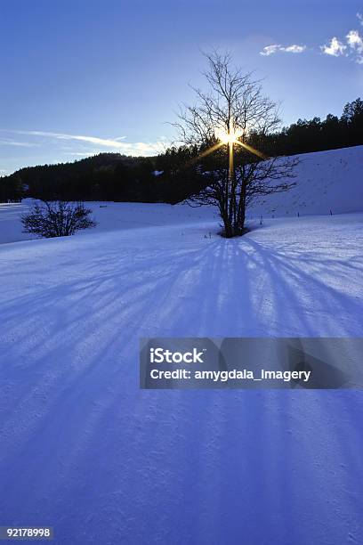 Zimowy Krajobraz - zdjęcia stockowe i więcej obrazów Brzask - Brzask, Buddyzm, Chłodny