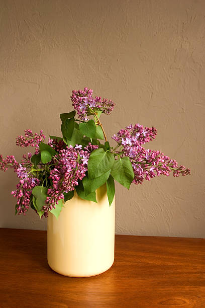 Lilas jaune un vase - Photo