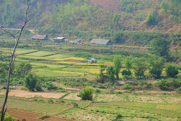 istock asian farming village 92179758