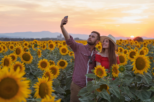 Young heterosexual couple standing in the beautiful field of sunflowers, taking a selfie and enjoying the amazing sunset.