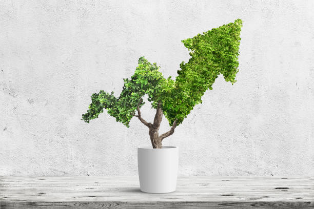 tree Potted green plant grows up in arrow shape over blue background. Concept business image environmental social corporate governance esg stock pictures, royalty-free photos & images