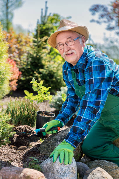 istock Senior gardener digging in a garden. 921812694