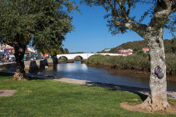 istock Ponte Romana in Silves, Portugal 921818672