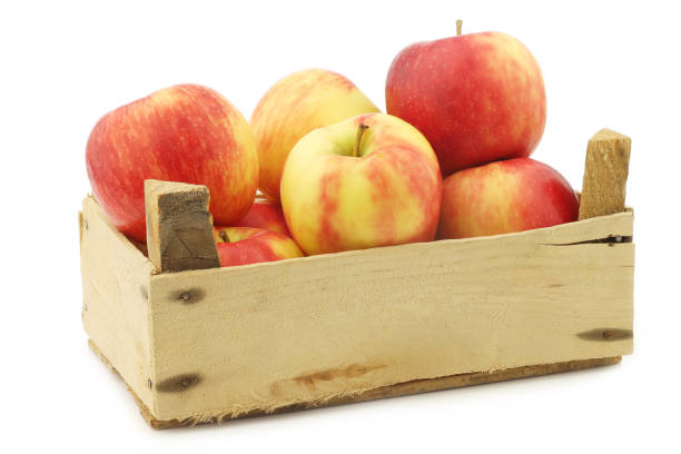 istock fresh 