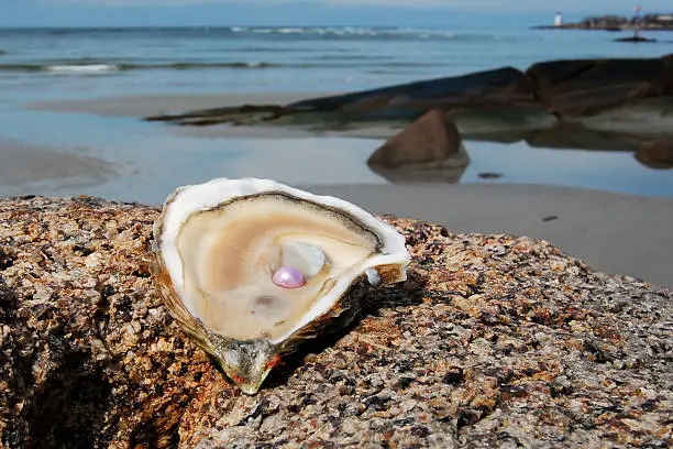 An oyster on the half-shell with a pink pearl, set on a rocky beach with a lighthouse in the background.