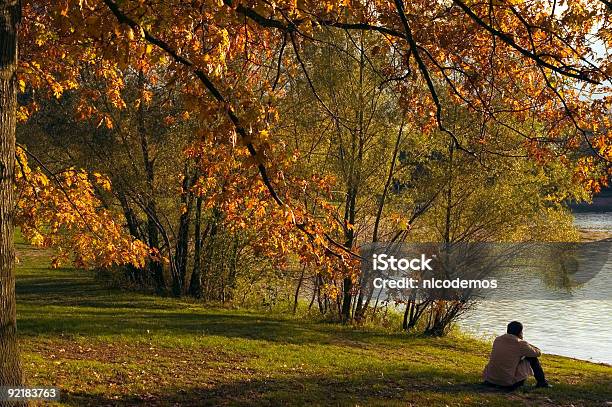 Sognare - Fotografie stock e altre immagini di Adulto - Adulto, Albero, Ambientazione esterna