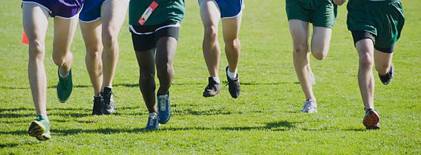 istock Herd of cross country runners 92183771