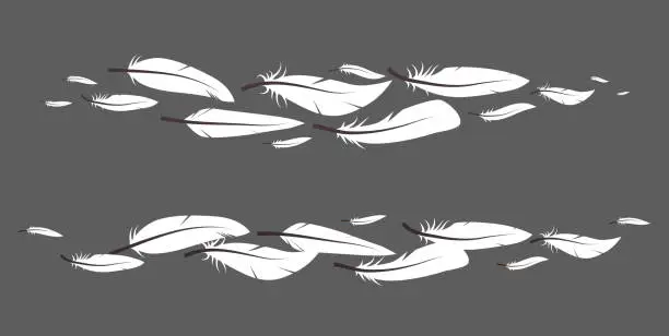 Vector illustration of Set of white feathers in row.