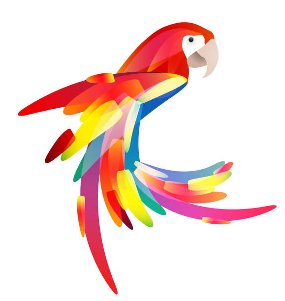 具有多彩多姿的尾巴的鸚鵡的程式化插圖。 - 金剛鸚鵡 幅插畫檔、美工圖案、卡通及圖標