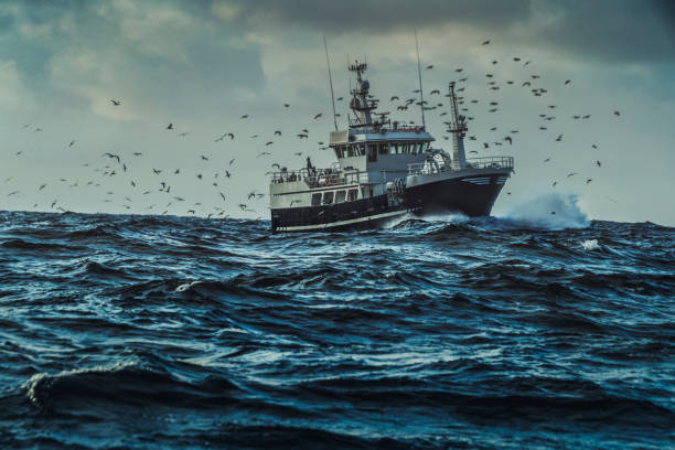 barco de pesca navegando en el mar - norwegian sea fotografías e imágenes de stock