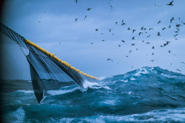 peschereccio che pesca in mare agitato - industrial fishing foto e immagini stock