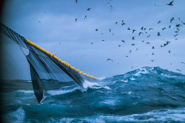 рыболовное судно ловит рыбу в бурном море - fishing промышленность стоковые фото и изображения