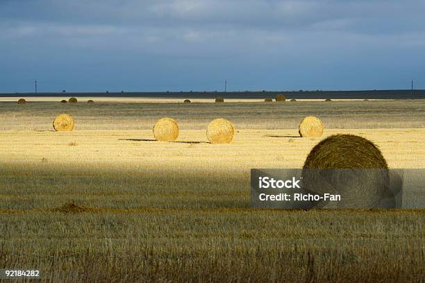 Fardos De Palha No Sol - Fotografias de stock e mais imagens de Ao Ar Livre - Ao Ar Livre, Colheita, Colher - Atividade Agrícola