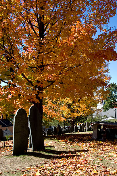 istock Old burial ground in Concord, MA 92184324