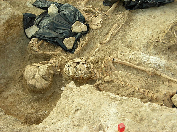 istock Two skeletons excavated in an ancient grave 92184480