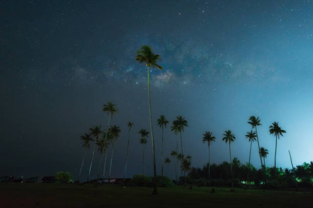 istock Milky Way. Beautiful summer night sky with coconut trees. Background. 921845136
