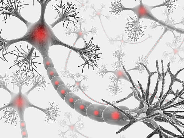istock Graphics art depiction of brain neurons in grey and red 92185049
