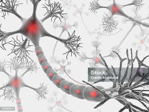 Neurónios O Identificarem - Fotografias de stock e mais imagens de Raiz do Nervo - Raiz do Nervo, Axónio, Sistema Nervoso Periférico