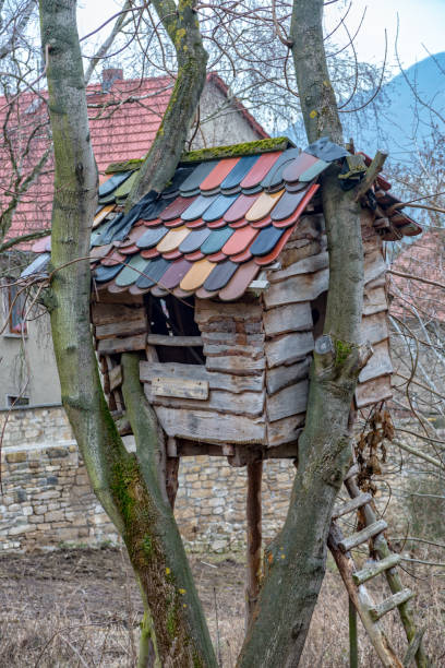 istock Treehouse with roof tiles built around trees 921851920
