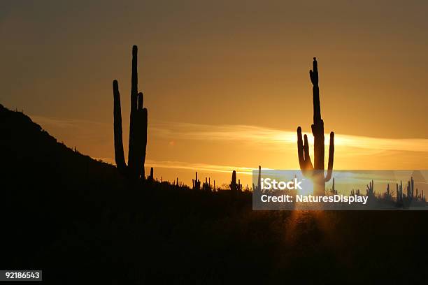 Zachód Słońca W Pustyni Sonoran - zdjęcia stockowe i więcej obrazów Bez ludzi - Bez ludzi, Fotografika, Horyzontalny