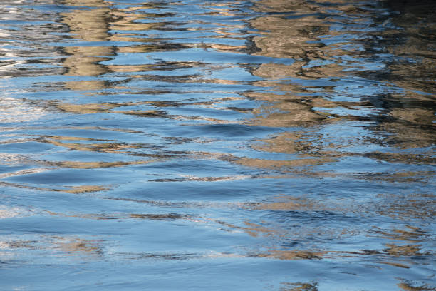 istock water surface with blue waves and dark reflections as an abstract background texture with copy space 921865640