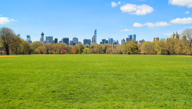istock View of Central park at sunny spring day 921866406