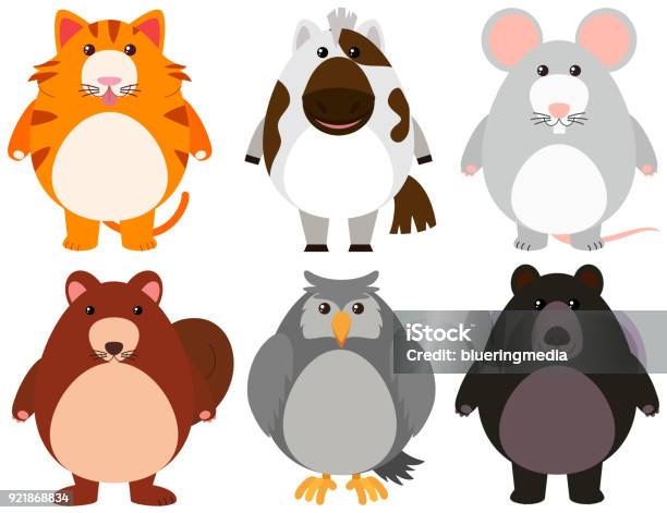 Cute Animals With Happy Smile Stock Illustration - Download Image Now - Animal, Animal Wildlife, Art