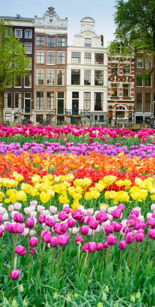 istock Houses of Amstardam, Netherlands 921868936
