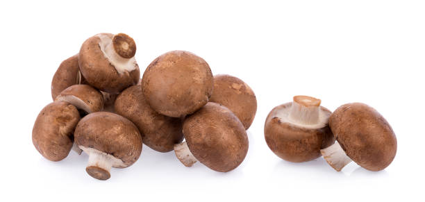 istock Mushroom champignon isolated on white background 921870594