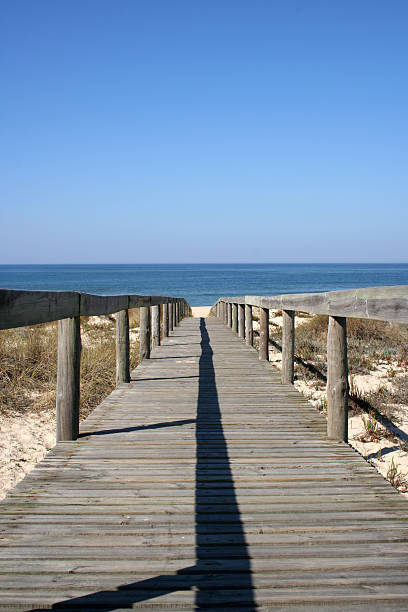 Way to the beach vertical stock photo