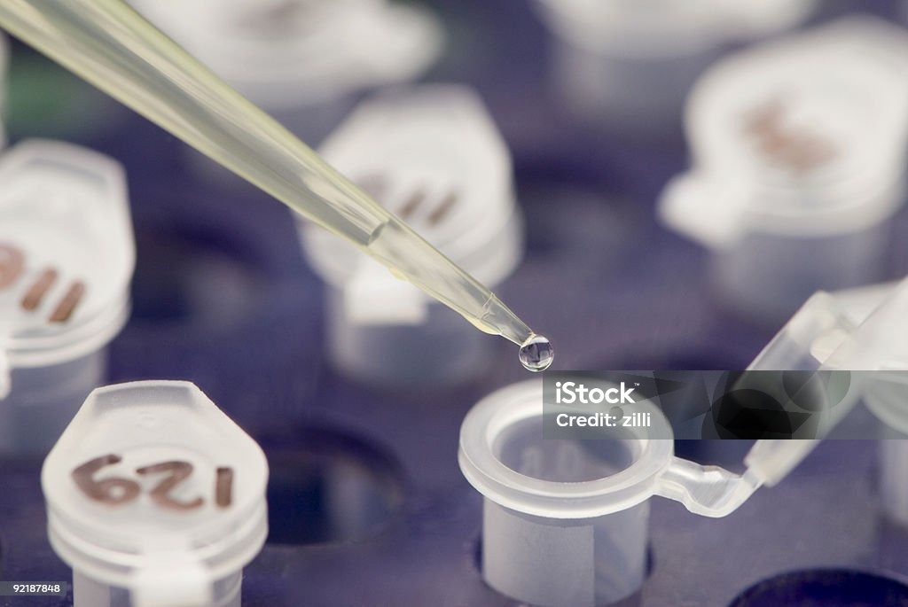 Investigación en los análisis de laboratorio - Foto de stock de Asistencia sanitaria y medicina libre de derechos