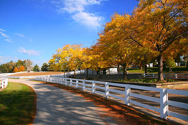 istock Kentucky Horse Farm, White Fence 92187910
