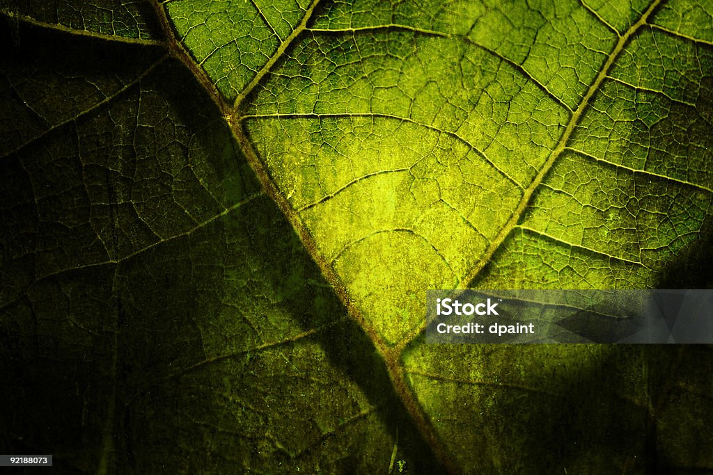 Helle grunge-Holz-mix mit leafs - Lizenzfrei Abstrakt Stock-Foto