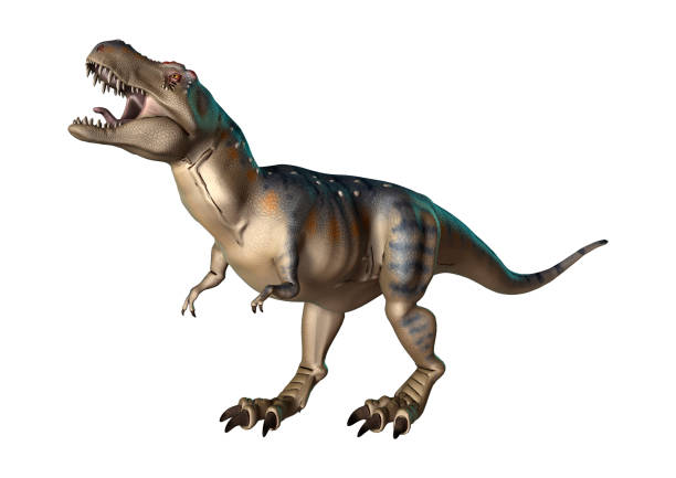 istock 3D rendering dinosaur Tyrannosaurus on white 921882416