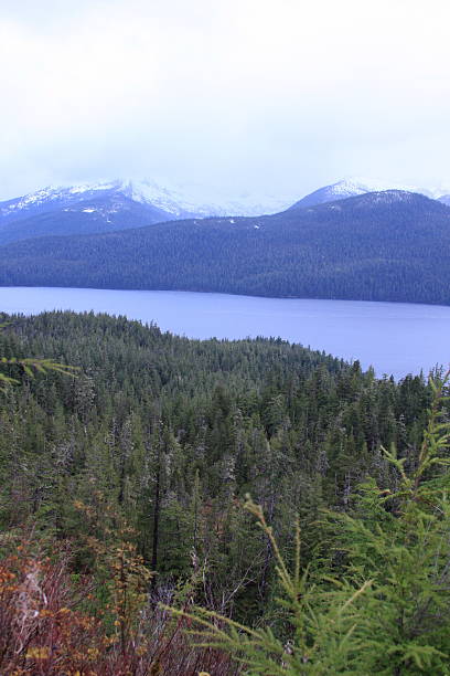 istock The Final Frontier of Southeast Alaska. 92188959